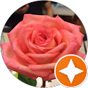 meri K profile picture